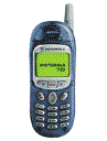 Best available price of Motorola T190 in Rwanda