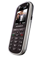 Best available price of Motorola WX288 in Rwanda