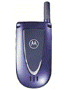 Best available price of Motorola V66i in Rwanda